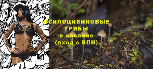 ALPHA PVP Сосновка