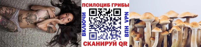 Купить где  Певек  Псилоцибиновые грибы мицелий 